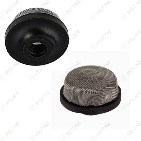 Filtre de purge sur tube Swimclear Hayward