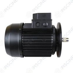 Moteur KA250T1 - KA300T1  Pompe Kripsol karpa kapri référence RMOT5041.30R