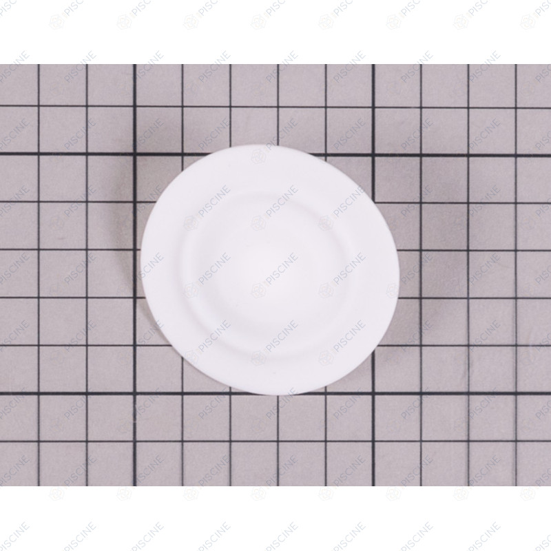 Membrane PTFE D54-M80 (MICRODOS) reference 00.012.100