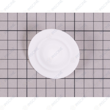 Membrane PTFE D54-M80 (MICRODOS) Pompe doseuse ME1