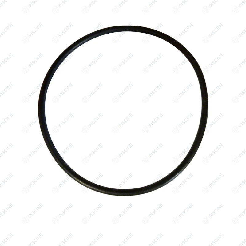 Joint torique de couvercle de pompe 137 x 5 mm BADU SPECK