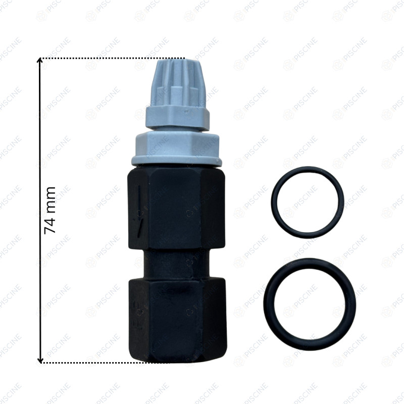 Canne injection complète/vase (ASTRALPOOL) -