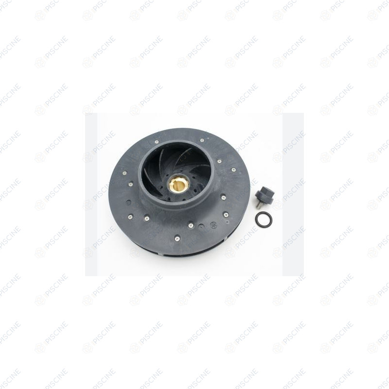 Turbine de pompe Magnus 4-1000 ( kit) SACI