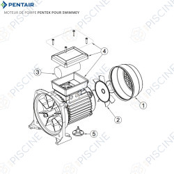 Vue éclatée moteur pompe Pentek Swimmey (Pentair)