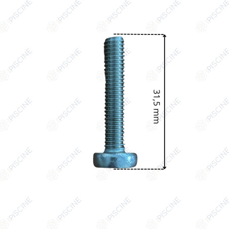 Vis 80278 tête bombée pisidrive A2 M6x30 DIN 7985A - VAN SM 10. SM 20. SM 30 - ex 080007 (PRAHER)