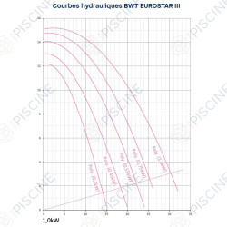 Pompe de filtration BWT Eurostar III Pompe de filtration BWT Eurostar III