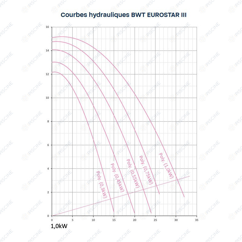 Pompe de filtration BWT Eurostar III Pompe de filtration BWT Eurostar III