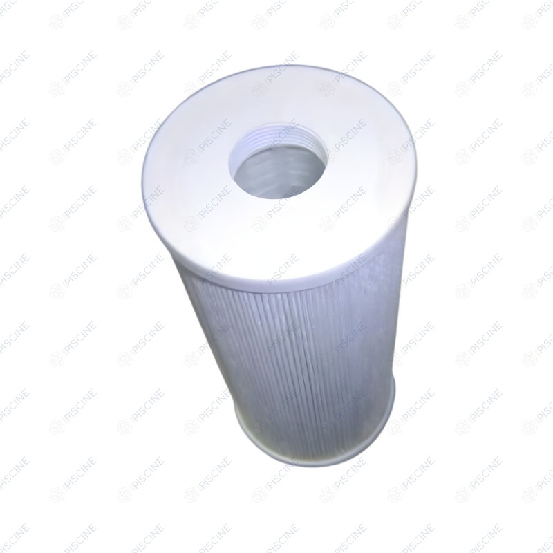 Cartouche Filtre Skimmer portatif (Astralpool) - réf. 4411030806