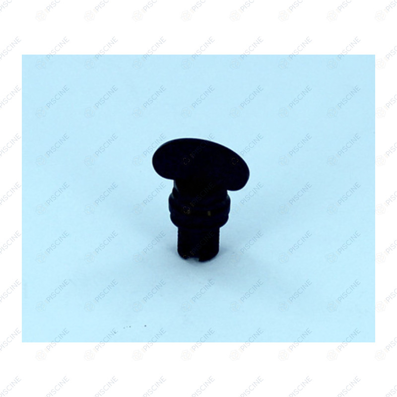 Purge 1/4" de couvercle transparent taraudé 8"1/2 FSAB Triton (Pentair) - référence REVOAIR2