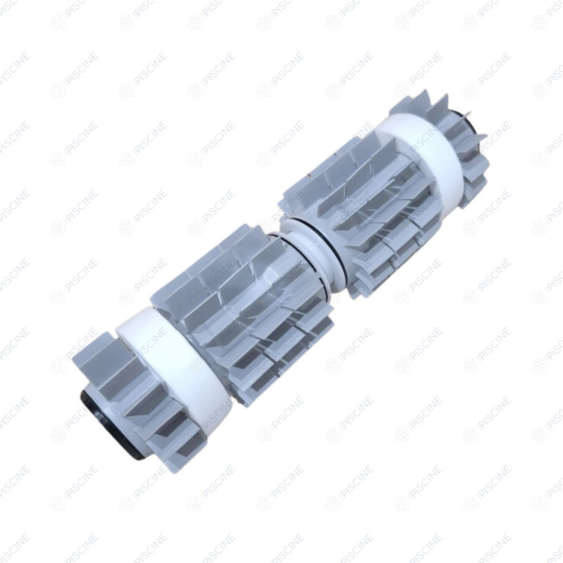 Ensemble brosse DYN 10 ASSY ( Maytronics) référence 9995548-ASSY