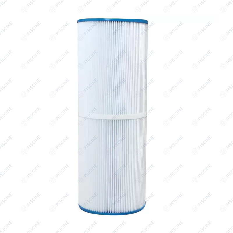 Cartouche CF100 Free Flo 10 M3/H R800751 PENTAIR