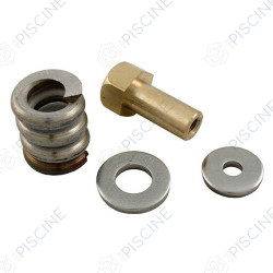 Ressort Collier de Fermeture FILTRE DE (Clean & Clear+, FNS+) - avec Ecrou Cylindrique (PENTAIR) reference R53108900