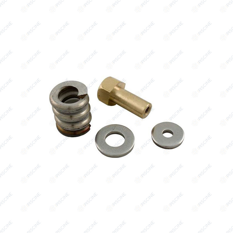 Ressort Collier de Fermeture FILTRE DE (Clean & Clear+, FNS+) - avec Ecrou Cylindrique (PENTAIR) reference R53108900