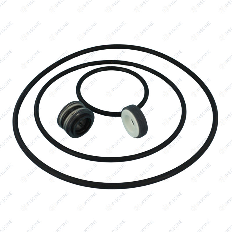 Kit joints pompe Superflo (PENTAIR) reference P-SFL-OSET