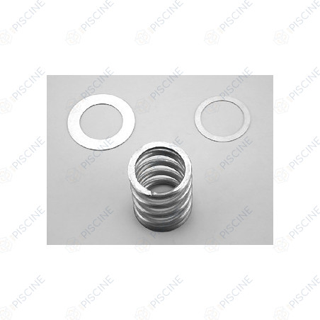 Ressort + Rondelles VANNE Auto 2'1/2 - (ASTRAL) Vanne Side MAGNUM 2"1/2 (avec montage)