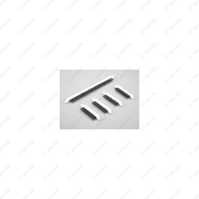 BROSSE ASPIRATION RECTANGULAIRE (Aspiration rectangulaire ASTRAL) Aspirateur rectangulaire
