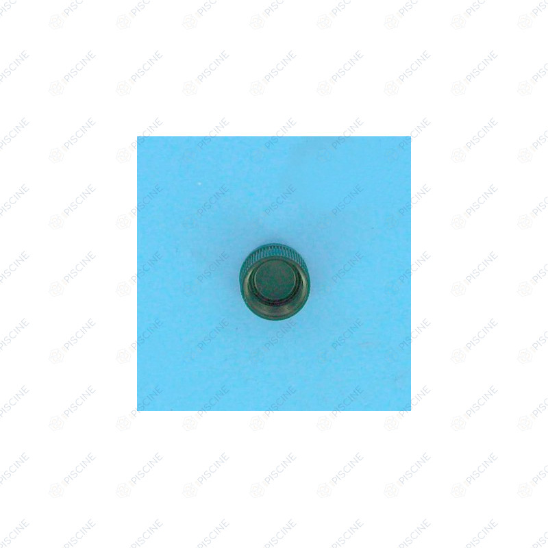 Bouchon de Vidange FILTRE SAB (GM140, S0200S) -  (HAYWARD) reference SX0200Z8