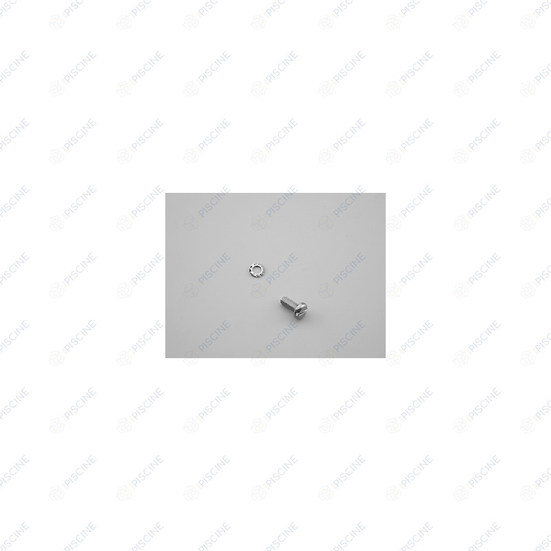 Vis SK Prise de Terre - Inox Béton (ASTRAL) Skimmer A-100 Inox piscine Béton