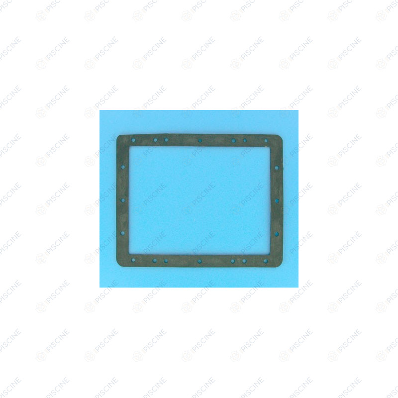 N'existe plus - Joint de Bride de skimmer PM x2 + 4 Vis - 105D011LF (SNTE) référence CE02010008 - sur mesure