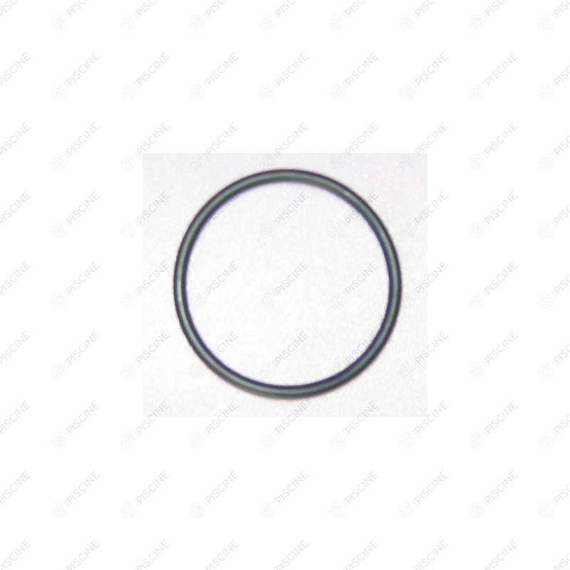 Joint Torique Filtre En Ligne Phantom/Viper (HAYWARD)