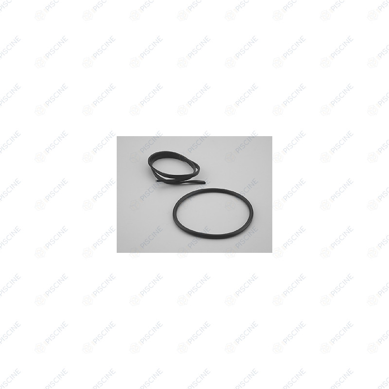 Joint Ampoule PROJ avec Profil - Inox Béton (ASTRAL) reference 4403010503