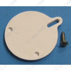 SPX1082H1A - OBTURATEUR + VIS SK - EX.SP1082H1E (HAYWARD)