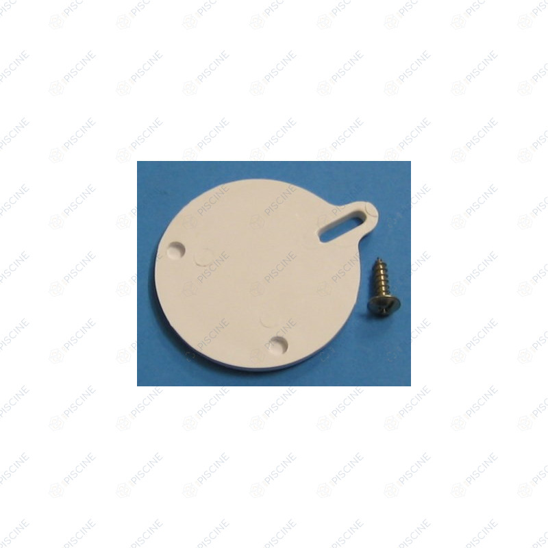 SPX1082H1A - OBTURATEUR + VIS SK - EX.SP1082H1E (HAYWARD)