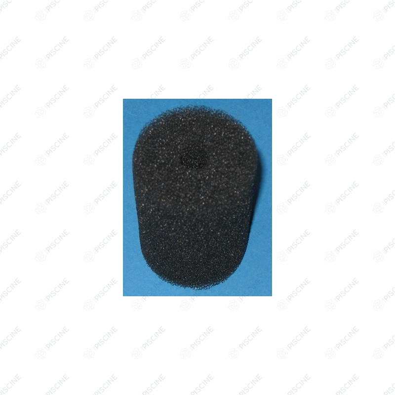 Brosse de queue robot Legend / Legend II (Pentair)