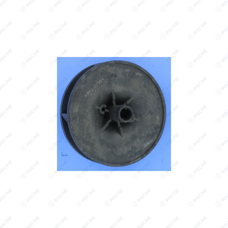Rotor PPE Triton Jet - 4 CV Tri (PENTAIR) Pompe TRITON JET