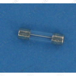 FUSIBLE 6.3 A HOMOLOGUE
