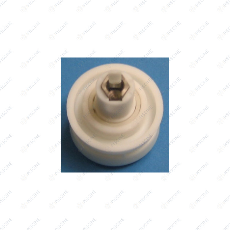 Roulement chenille moteur Int AQV (HAYWARD)
