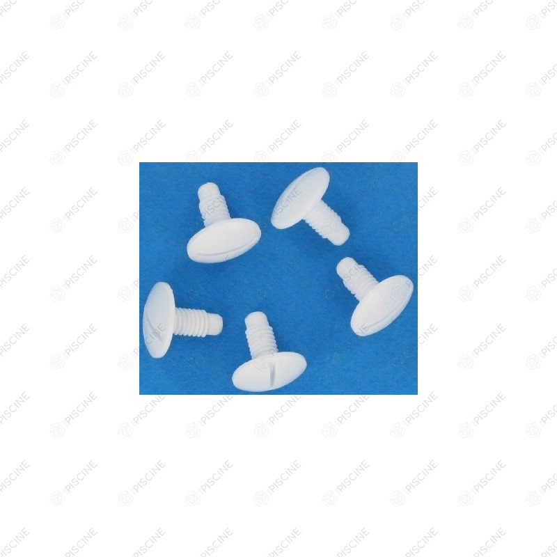 Vis de roue en plastique (sachet de 5) robot Legend - (Pentair)