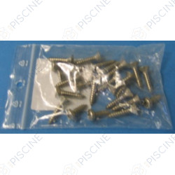 Vis SK A300 & SKimfiltre Hors-Sol (x 22) - (WELTICO) Skimmer Hors-sol A300