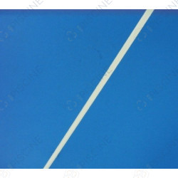 N'EXISTE PLUS - Tube Purge d'Air FILTRE KT POSI FLO II - PTM100 (STA-RITE) reference 25010-0008