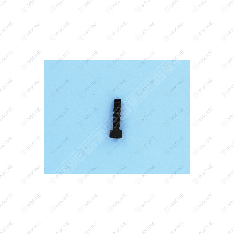 Vis Plateau d' Etanchéité pompe Mini Pump - dim. 6x20 (IML) Pompe MINI PUMP  IML