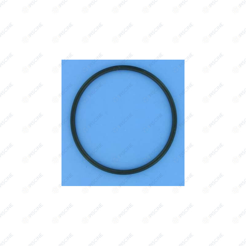 Joint de couvercle pompe Astral Glass 1"1/2 160 mm (ASTRAL) Pompe ASTRAL GLASS (Après 1989) ASTRALPOOL