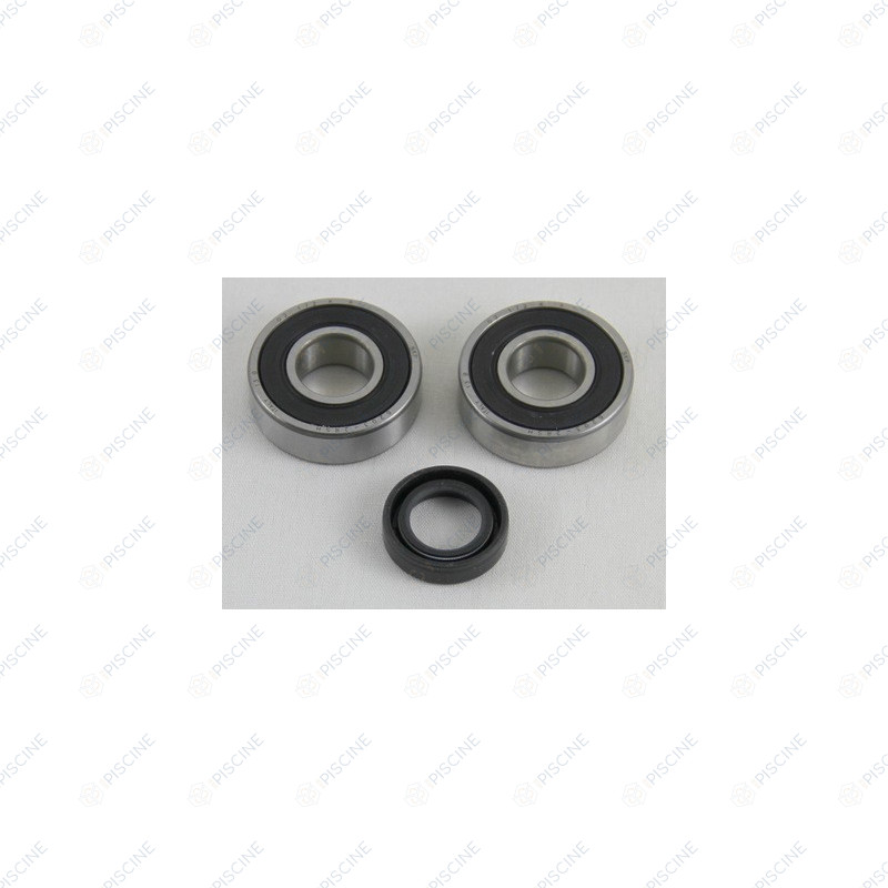 Kit roulement 6203x2 moteur SF 3 (HAYWARD) Pompe TRISTAR HAYWARD