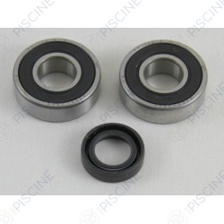 Kit roulement 6202+6203 moteur SF 2 (HAYWARD) Pompe TRISTAR HAYWARD