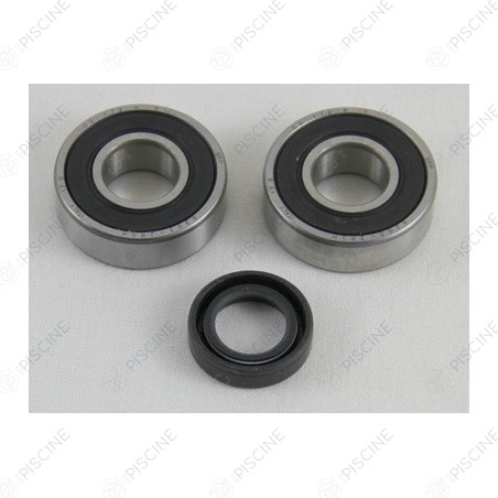 Kit roulement 6202+6203 moteur SF 2 (HAYWARD) Pompe TRISTAR HAYWARD