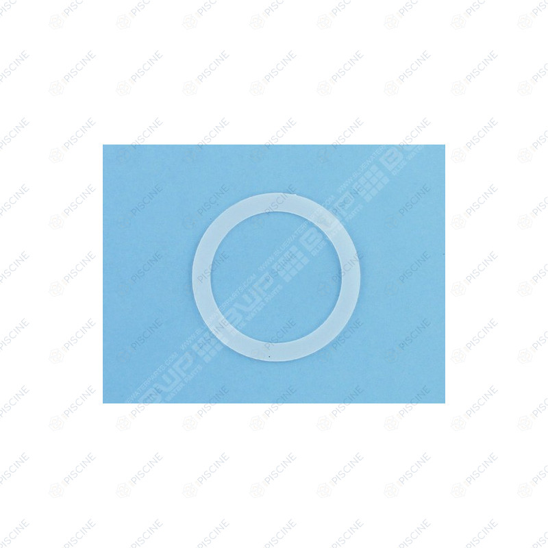Rondelle de Coude Inférieur FILTRE DE FNS -  (PENTAIR) reference H-19-5004