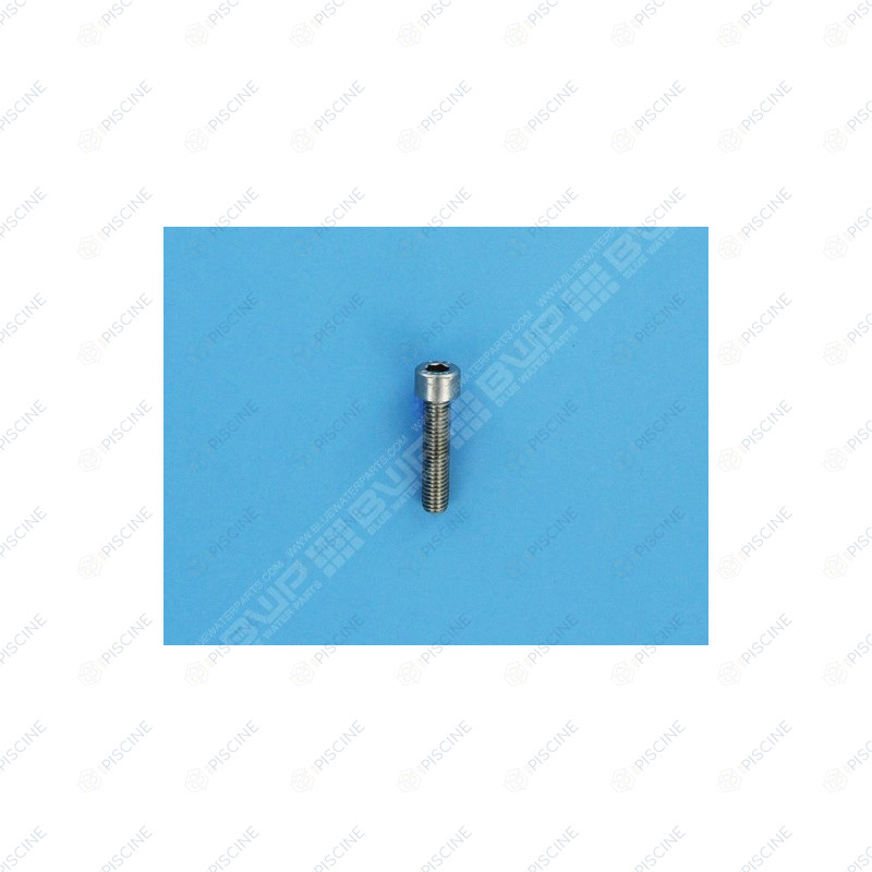 Vis Allen pompe (Europa, Niagara, Discovery, BPF, MS) - dim. 8x35 (IML) Pompe BPF IML