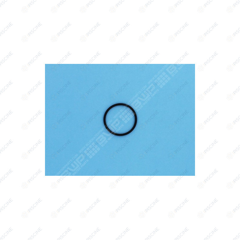 Joint de diffuseur pompe Mini (PSH) Pompe MINI PSH