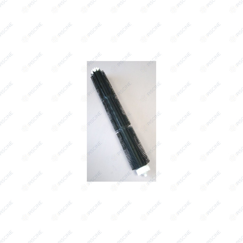 Ensemble brosse + tube ref AS2802420