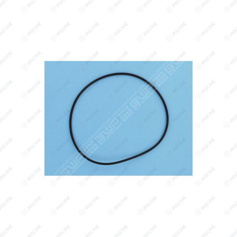 Joint torique de corps d160*3,5 Pompe MPB ACIS